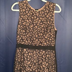 Vera Wang collection lace dress midi